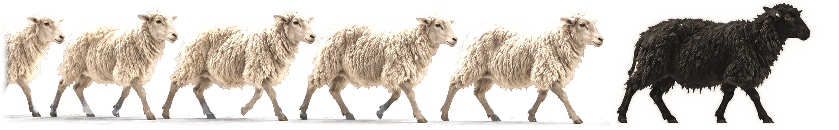 OTHRS The Black Sheep Parade