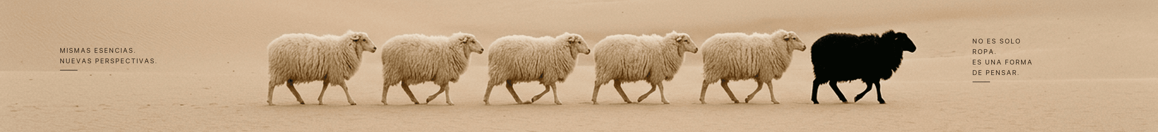 Mismas esencias. Nuevas perspectivas. The Black Sheep — OTHRS